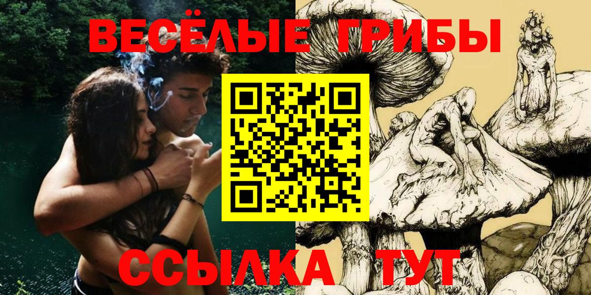 Новый Уренгой  Псилоцибиновые грибы Psilocybe  Псилоцибиновые грибы мицелий  Вход с VPN 
